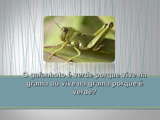 Darwnismo e Lamarckismo