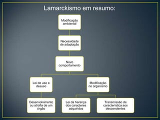 Lamarckismo em resumo:
Modificação
ambiental

Necessidade
de adaptação

Novo
comportamento

Lei de uso e
desuso

Desenvolvimento
ou atrofia de um
órgão

Modificação
no organismo

Lei da herança
dos caracteres
adquiridos

Transmissão da
característica aos
descendentes

 