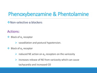 Non-selective α blockers
Actions:
 Block of α1 receptor
 vasodilation and postural hypotension.
 Block of α2 receptor
 reduced NE action on α2 receptors on the varicosity
 increases release of NE from varicosity which can cause
tachycardia and increased CO
Phenoxybenzamine & Phentolamine
 