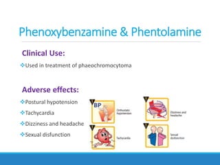 Clinical Use:
Used in treatment of phaeochromocytoma
Adverse effects:
Postural hypotension
Tachycardia
Dizziness and headache
Sexual disfunction
Phenoxybenzamine & Phentolamine
 