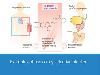 Examples of uses of α1 selective blocker
 