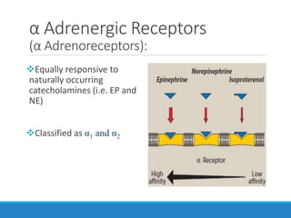 α Adrenergic Receptors
(α Adrenoreceptors):
Equally responsive to
naturally occurring
catecholamines (i.e. EP and
NE)
Classified as α1 and α2
 