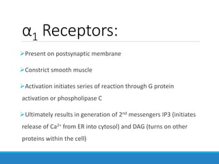 α1 Receptors:
Present on postsynaptic membrane
Constrict smooth muscle
Activation initiates series of reaction through G protein
activation or phospholipase C
Ultimately results in generation of 2nd messengers IP3 (initiates
release of Ca2+ from ER into cytosol) and DAG (turns on other
proteins within the cell)
 