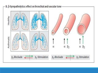 Antiadrenergic Drugs
