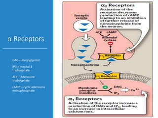α Receptors
• DAG – diacylglycerol
• IP3 – Inositol 3
triphosphate
• ATP – Adenosine
triphosphate
• cAMP – cyclic adenosine
monophosphate
 