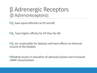β Adrenergic Receptors
(β Adrenoreceptors):
β1 have equal affinities to EP and NE
β2 have higher affinity for EP than for NE
β3 are responsible for lipolysis and have effects on detrusor
muscle of the bladder
Binding results in activation of adenylyl cyclase and increased
cAMP concentration
 