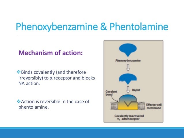 Antiadrenergic Drugs Antiadrenergic Drugs