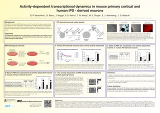Activity-dependent transcriptional dynamics in mouse primary cortical and
human iPS - derived neurons
D. P. Vanichkina1
, G. Barry1
, J. Briggs2
,V. S. Ratnu3
, T. W. Bredy3
, M. E. Dinger4
, E. J. Wolvetang2
, J. S. Mattick5
1 - Institute for Molecular Bioscience, University of Queensland (UQ), Brisbane, Australia 2 - Australian Institute for Bioengineering and Nanotechnology, UQ, Brisbane, Australia 3 - Queensland Brain Institute, UQ, Brisbane, Australia 4 - Diamantina Institute, UQ, Brisbane, Australia 5 - Garvan Institute, Sydney, NSW, Australia
Coding
targets
Non-coding
targets
Upregulated after 1 hour KCl treatment 23 13
Downregulated after 1 hour KCl treatment 5 19
Upregulated after 3 hours KCl treatment 148 13
Downregulated after 3 hours KCl treatment 142 15
Coding
targets
Non-coding
targets
Upregulated after 3
hours KCl treatment
26 16
Downregulated after 3
hours KCl treatment
44 11
RNA from human iPS-derived neurons was hybridized to the human NCode microarray, which contains
probes for over 17 000 putative lncRNAs and protein-coding genes. Values in the table represent
significantly differentially expressed probes (B-value > 3, log2
-fold change > 0.5 or <-0.5). qPCR validation
of two ncRNAs down-regulated in response to activity (Gomafu, Neat1) is shown at right, with levels of the
ncRNA Malat1 remaining unchanged.
RNA from mouse primary cortical neurons was hybridized to the mouse NCode microarray, which contains
probes for ~10 000 putative lncRNAs and protein-coding genes. Values in the table represent significantly dif-
ferentially expressed probes (B-value > 3, log2
-fold change > 0.5 or < -0.5).
qPCR validation of selected targets is shown on the right.
iPS-derived neurons may express markers characteristic of mature nerve cells, but may not be physiologically ac-
tive, for example as a result of lack of assembled receptor complexes at the synapse. We used the FLIPR Tetra
system to assess changes in cytoplasmic Ca2+
concentration (left), which normally increases dramatically in re-
sponse to activity, and RT-qPCR to determine expression levels of known activity-dependent transcripts (right).
iPS-derived neuronal model system
Methodological overview
3.ManyncRNAareexpressedinanactivity-dependentmanner
in mouse primary cortical neurons
1. Human iPS-derived neurons show normal activity responses 2. Many ncRNA are expressed in an activity-dependent
manner in human iPS-derived neurons
Gomafu is a ncRNA expressed predominately in the nervous sys-
tem, dynamically regulated during retinal development[3]
, differen-
tiation of neural stem cells into oligodendrocytes[4]
and in mouse
embryonic stem cell differentiation[5,6]
. Gomafu has been shown to
bind the splicing factor SF1[7]
.
We found that Gomafu was down-regulated in response to ac-
tivity in both the human and mouse model systems, and using
RNA immunoprecipitation validated preliminary evidence from the
Blackshaw lab[8]
which suggested that this ncRNA may bind other
splicing factors such as QKI (quaking homolog, KH domain con-
taining) and SRSF1 (serine/arginine-rich splicing factor 1).
The RNA immunoprecipitation experiments shown at right dem-
onstrate that antibodies to human SRSF1 (A) and QKI (B) pull
down Gomafu and to a lesser extent Malat1 and Neat1 in extract
from the human neuroblastoma-derived SH-SY5Y cell line.
4. The activity-dependent ncRNA Gomafu binds directly to
multiple splicing factors
Neurons were differentiated from iPS cells using a modification of the 2-dimensional neural differentia-
tion protocol developed in the Studer laboratory[2]
, based on dual SMAD inhibition using Noggin and
SB431542, which mimics the in vivo transition of undifferentiated hESCs to FGF5+
epiblast-like cells
through to PAX6+
cells competent of neural rosette formation. We have adapted this protocol by replacing
Noggin with the small molecule dorsomorphin and routinely obtain greater than 90% PAX6+
cells from iPS
cells within 6 days. These neuron progenitors are then propagated for a further four weeks.
iPS cells Neurospheres Migratory neurons
β-III tubulin
in mature neurons
Figure modified from
Chambers et. al [2]
0.0
0.2
0.4
1
2
3
4
Relativeexpressionofgene/HPRT
*
***
BDNF FOS NRN1
*
Gomafu
-KCl +KCl -KCl +KCl -KCl +KCl -KCl +KCl
RT-qPCR of activity-dependent transcripts
0.00
0.04
0.08
0.12
0.16
ARC FOS BDNF
Relativeexpressionofgene/GAPDH
**
**
*
-KCl +KCl -KCl +KCl -KCl +KCl
0.00
0.04
0.08
0.12
8
10
*
**
Gomafu Neat1 Malat1
Relativeexpressionofgene/GAPDH
-KCl +KCl -KCl +KCl -KCl +KCl
RT-qPCR of selected ncRNA
0
5
10
15
20
25
0
20
40
60
80
100
Gomafu
SRSF1
IgG
Input
IgG
Input
QKI
Neat1
Malat1
DISC1
Gomafu
Neat1
Malat1
DISC1
A
B
Relative RNA enrichment/IgG
Relative RNA enrichment/IgG
References
[1] Salta, E., & De Strooper, B. (2012). Non-coding RNAs with essential roles in neurodegenerative disorders. The Lancet Neurology, 11(2), 189–200, and references therein [2] Chambers, S. M., Fasano, C. A., Papapetrou, E. P., Tomishima, M., Sadelain, M., & Studer, L.
(2009). Highly efficient neural conversion of human ES and iPS cells by dual inhibition of SMAD signaling. Nature Biotechnology, 27(3), 275–280. [3] Blackshaw, S., Harpavat, S., Trimarchi, J., Cai, L., Huang, H., Kuo, W. P., Weber, G., et al. (2004). Genomic Analysis of Mouse
Retinal Development. PLoS Biology, 2(9), e247. [4] Mercer, T. R., Qureshi, I. A., Gokhan, S., Dinger, M. E., Li, G., Mattick, J. S., & Mehler, M. F. (2010). Long noncoding RNAs in neuronal-glial fate specification and oligodendrocyte lineage maturation. BMC Neuroscience, 11(1),
14. [5] Sheik Mohamed, J., Gaughwin, P. M., Lim, B., Robson, P., & Lipovich, L. (2010). Conserved long noncoding RNAs transcriptionally regulated by Oct4 and Nanog modulate pluripotency in mouse embryonic stem cells. RNA, 16(2), 324–337. [6] Dinger, M. E., Amaral, P.
P., Mercer, T. R., Pang, K. C., Bruce, S. J., Gardiner, B. B., Askarian-Amiri, M. E., et al. (2008). Long noncoding RNAs in mouse embryonic stem cell pluripotency and differentiation. Genome Research, 18(9), 1433–1445. [7] Tsuiji, H., Yoshimoto, R., Hasegawa, Y., Furuno, M.,
Yoshida, M., & Nakagawa, S. (2011). Competition between a noncoding exon and introns: Gomafu contains tandem UACUAAC repeats and associates with splicing factor-1. Genes to Cells, Competition between exons and introns, 16(5), 479–490. [8] S. Blackshaw, E. Poth,
The Solomon H. Snyder Department of Neuroscience, Johns Hopkins University School of Medicine - personal communication.
Background
A handful of non-coding RNA have been found to be involved in various aspects of ner-
vous system function: maintenance of pluripotency, lineage specification, neurogenesis
in the embryo and adult, and higher cognitive functions, including memory formation[1]
.
However, the global extent of transcription in response to neuronal activation remains un-
known.
Objectives
To characterize changes in the coding and non-coding RNA in the cell that occur in
response to neuronal activity, including differential gene expression analysis, alter-
native splicing and RNA editing
Control
Depolarized
with KCl to a
final concentra-
tion of 50 mM
+ equal volume
fresh media
+ equal volume
fresh media
Wait 1 or 3
hours
Wait 1 or 3
hours
Collect
RNA
Collect
RNA
Summary
1. Similar to coding transcripts, a significant number of ncRNA are differentially expressed
in response to activity in both mouse primary cortical neurons and in human iPS cell de-
rived neurons.
2. The ncRNA Gomafu is down-regulated as a result of activity, and binds to several splic-
ing factors, including QKI and SRSF1.
Future directions
Having validated that human iPS-derived neurons respond to activity as a normal neu-
ronal population, we plan to use high-throughput sequencing to characterize changes
in the human coding and non-coding transcriptome as a result of activity.
For additional information
about the work conducted
please follow the link:
RT-qPCR of activity-dependent transcripts
 
