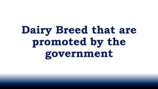 Dairy Breed that are
promoted by the
government
 