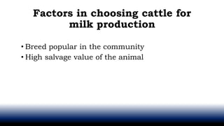 Factors in choosing cattle for
milk production
• Breed popular in the community
• High salvage value of the animal
 