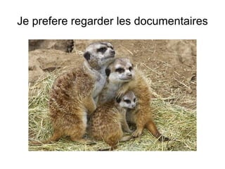Je prefere regarder les documentaires 