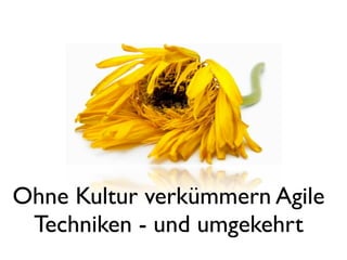 Ohne Kultur verkümmern Agile
 Techniken - und umgekehrt
 