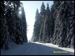 Bavarian winter 