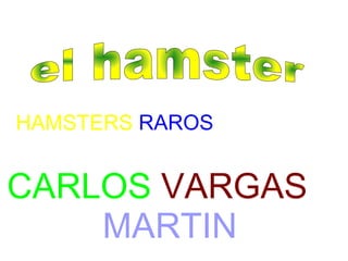 HAMSTERS  RAROS CARLOS   VARGAS   MARTIN el hamster 