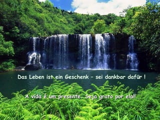 Das Leben ist ein Geschenk – sei dankbar dafür !


  A vida é um presente. Seja grato por ela!!
 