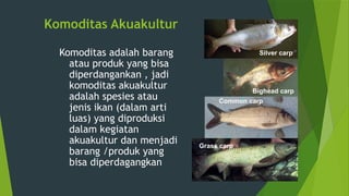 Komoditas Akuakultur
Komoditas adalah barang
atau produk yang bisa
diperdangankan , jadi
komoditas akuakultur
adalah spesies atau
jenis ikan (dalam arti
luas) yang diproduksi
dalam kegiatan
akuakultur dan menjadi
barang /produk yang
bisa diperdagangkan
Grass carp
Common carp
Bighead carp
Silver carp
 