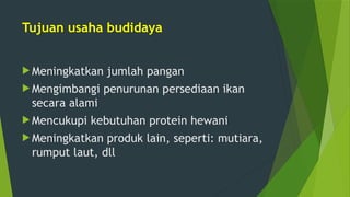 Tujuan usaha budidaya
 Meningkatkan jumlah pangan
 Mengimbangi penurunan persediaan ikan
secara alami
 Mencukupi kebutuhan protein hewani
 Meningkatkan produk lain, seperti: mutiara,
rumput laut, dll
 