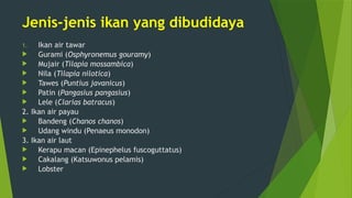 Jenis-jenis ikan yang dibudidaya
1. Ikan air tawar
 Gurami (Osphyronemus gouramy)
 Mujair (Tilapia mossambica)
 Nila (Tilapia nilotica)
 Tawes (Puntius javanicus)
 Patin (Pangasius pangasius)
 Lele (Clarias batracus)
2. Ikan air payau
 Bandeng (Chanos chanos)
 Udang windu (Penaeus monodon)
3. Ikan air laut
 Kerapu macan (Epinephelus fuscoguttatus)
 Cakalang (Katsuwonus pelamis)
 Lobster
 