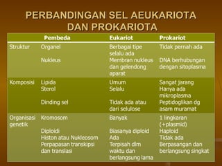 PERBANDINGAN SEL AEUKARIOTAPERBANDINGAN SEL AEUKARIOTA
DAN PROKARIOTADAN PROKARIOTA
 