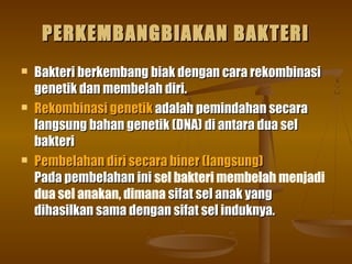 PERKEMBANGBIAKAN BAKTERIPERKEMBANGBIAKAN BAKTERI
 Bakteri berkembang biak dengan cara rekombinasiBakteri berkembang biak dengan cara rekombinasi
genetik dan membelah diri.genetik dan membelah diri.
 Rekombinasi genetikRekombinasi genetik adalah pemindahan secaraadalah pemindahan secara
langsung bahan genetik (DNA) di antara dua sellangsung bahan genetik (DNA) di antara dua sel
bakteribakteri
 Pembelahan diri secara biner (langsung)Pembelahan diri secara biner (langsung)
Pada pembelahan iniPada pembelahan ini sel bakteri membelah menjadi
dua sel anakan, dimana sifat sel anak yangsifat sel anak yang
dihasilkan sama dengan sifat sel induknya.dihasilkan sama dengan sifat sel induknya.
 