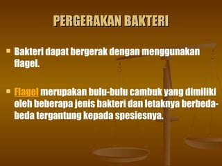 PERGERAKAN BAKTERIPERGERAKAN BAKTERI
 Bakteri dapat bergerak dengan menggunakan
flagel.
 Flagel merupakan bulu-bulu cambuk yang dimiliki
oleh beberapa jenis bakteri dan letaknya berbeda-
beda tergantung kepada spesiesnya.
 