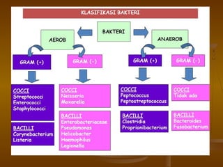Dasar dasar-bakteriologi-2 (1)