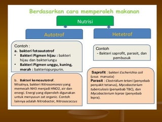 Dasar dasar-bakteriologi-2 (1)
