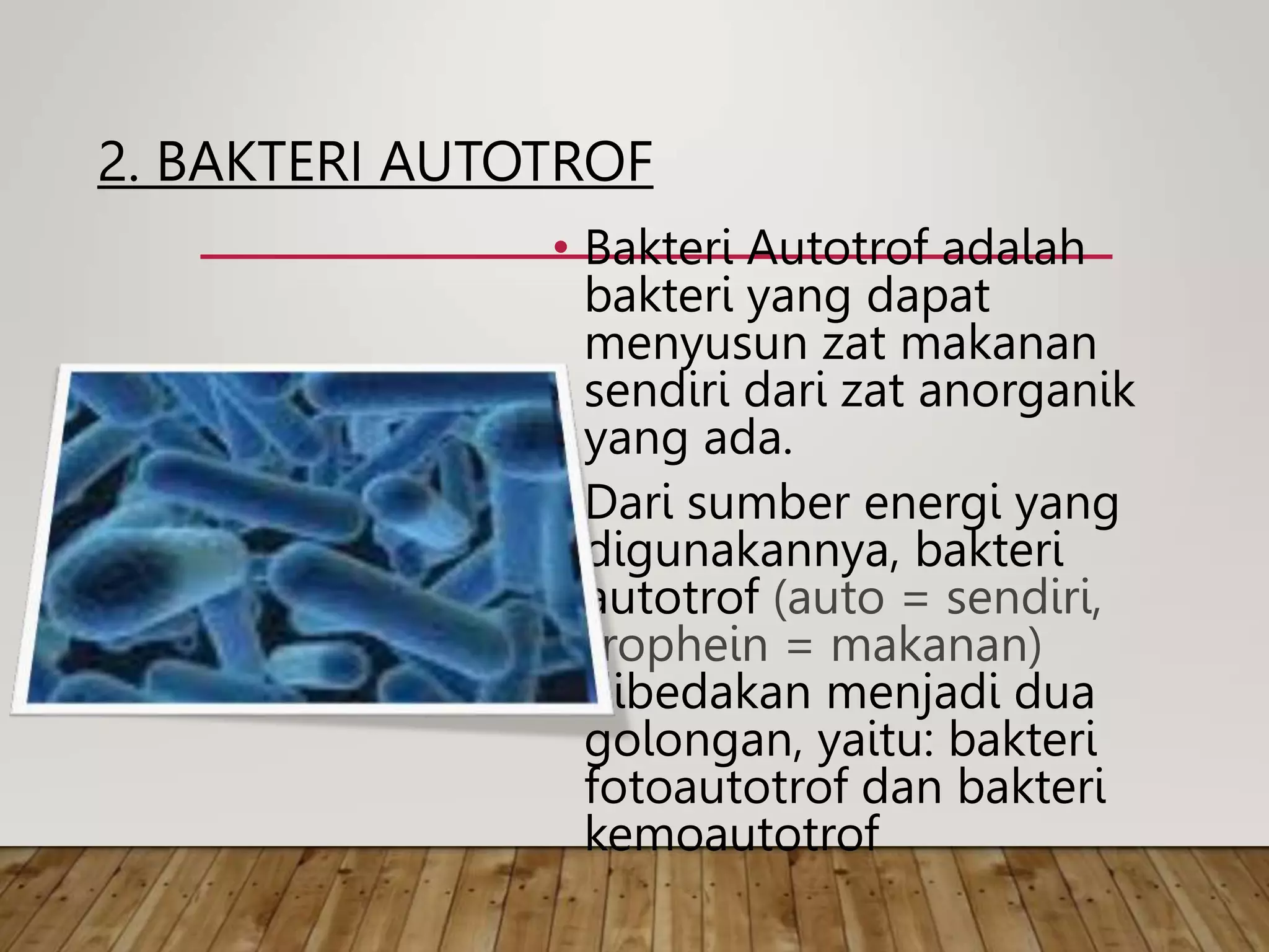 dasar-dasar-bakteriologi ppt.ppt