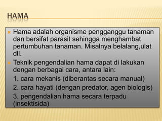 HamaHama adalah organisme pengganggu tanaman dan bersifat parasit sehingga menghambat pertumbuhan tanaman. Misalnya belalang,ulat dll.Teknik pengendalian hama dapat di lakukan dengan berbagai cara, antara lain:	1. cara mekanis (diberantas secara manual)	2. cara hayati (dengan predator, agen biologis)	3. pengendalian hama secara terpadu (insektisida)