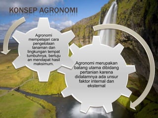 Konsep Agronomi