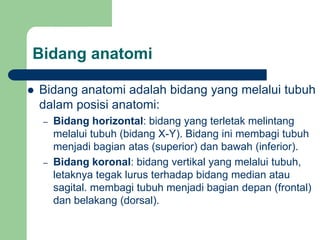 Bidang anatomi
 Bidang anatomi adalah bidang yang melalui tubuh
dalam posisi anatomi:
– Bidang horizontal: bidang yang terletak melintang
melalui tubuh (bidang X-Y). Bidang ini membagi tubuh
menjadi bagian atas (superior) dan bawah (inferior).
– Bidang koronal: bidang vertikal yang melalui tubuh,
letaknya tegak lurus terhadap bidang median atau
sagital. membagi tubuh menjadi bagian depan (frontal)
dan belakang (dorsal).
 
