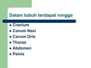 Dalam tubuh terdapat rongga
 Cranium
 Cavum Nasi
 Cavum Oris
 Thorax
 Abdomen
 Pelvis
 