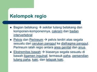 Kelompok regio
 Bagian belakang  sekitar tulang belakang dan
komponen-komponennya, cakram dan badan
intervertebral
 Pelvis dan Perineum  pelvis terdiri atas segala
sesuatu dari cerukan panggul ke diafragma panggul.
Perineum ialah regio antara area genital dan anus.
 Ekstremitas bawah  biasanya segala sesuatu di
bawah ligamen inguinal, termasuk paha, persendian
tulang paha, kaki, dan telapak kaki.
 