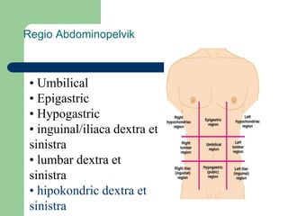 Regio Abdominopelvik
• Umbilical
• Epigastric
• Hypogastric
• inguinal/iliaca dextra et
sinistra
• lumbar dextra et
sinistra
• hipokondric dextra et
sinistra
 