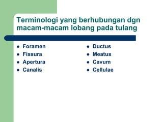 Terminologi yang berhubungan dgn
macam-macam lobang pada tulang
 Foramen
 Fissura
 Apertura
 Canalis
 Ductus
 Meatus
 Cavum
 Cellulae
 