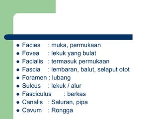  Facies : muka, permukaan
 Fovea : lekuk yang bulat
 Facialis : termasuk permukaan
 Fascia : lembaran, balut, selaput otot
 Foramen : lubang
 Sulcus : lekuk / alur
 Fasciculus : berkas
 Canalis : Saluran, pipa
 Cavum : Rongga
 