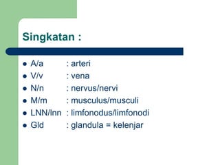 Singkatan :
 A/a : arteri
 V/v : vena
 N/n : nervus/nervi
 M/m : musculus/musculi
 LNN/lnn : limfonodus/limfonodi
 Gld : glandula = kelenjar
 