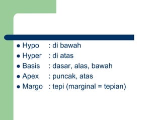  Hypo : di bawah
 Hyper : di atas
 Basis : dasar, alas, bawah
 Apex : puncak, atas
 Margo : tepi (marginal = tepian)
 