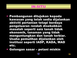 IN-SITU Pembangunan ditujukan kepada kawasan yang telah sedia dijalankan aktiviti pertanian tetapi berdaya pengeluaran rendah disebabkan masalah seperti saiz tanah tidak ekonomik, tanaman yang tidak menguntungkan dan tanah terbiar. Usaha pemulihan dijalankan oleh institusi seperti IADP, KADA, MAD etc. Golongan sasar – petani miskin 