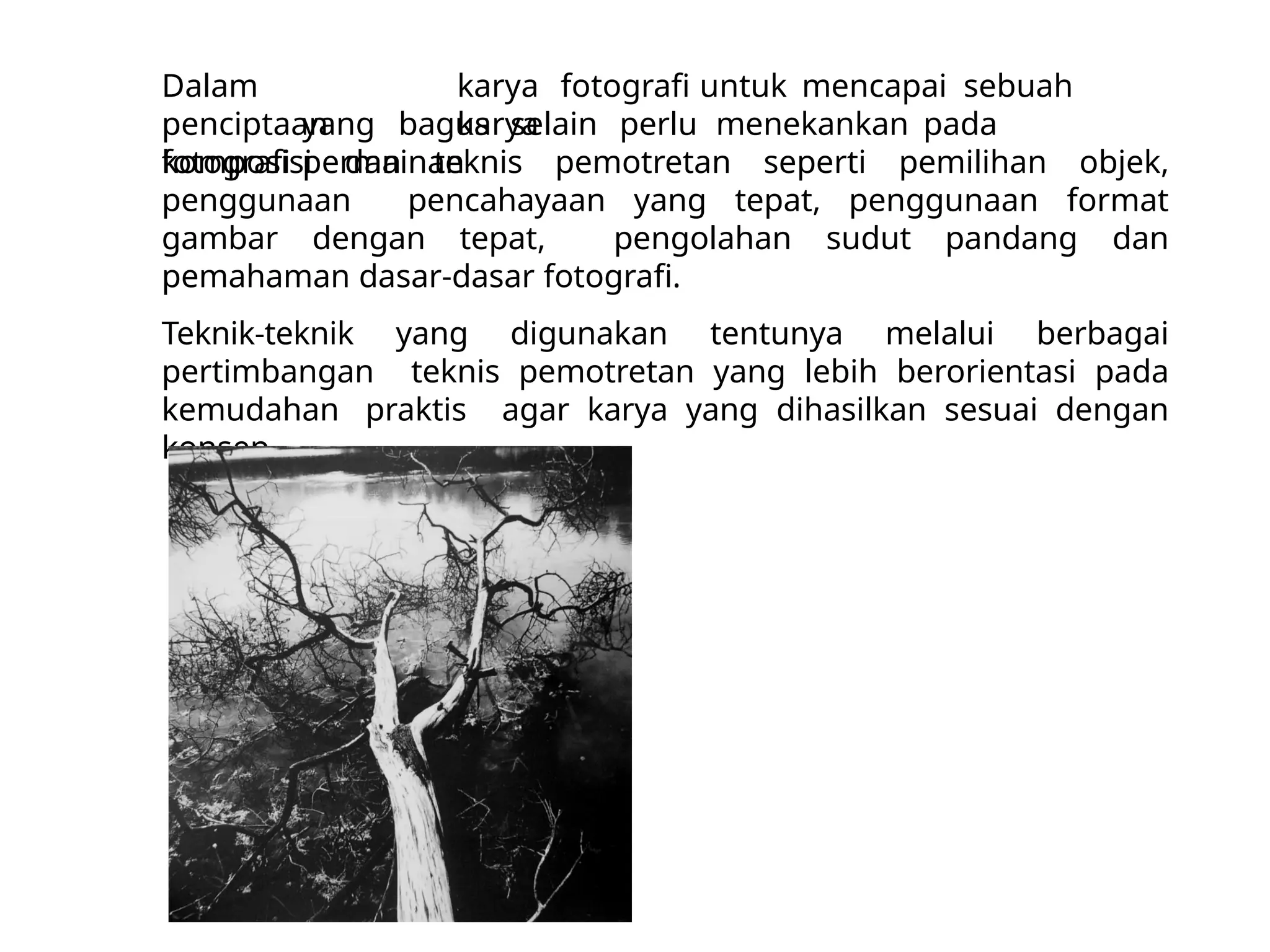 Dasar-Dasar Fotografi untuk Pemula: Memulai Perjalanan Visual Anda
