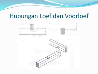 Hubungan Loef dan Voorloef
 