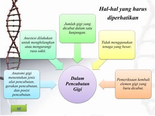 Hal-hal yang harus
diperhatikan
Dalam
Pencabutan
Gigi
Anatomi gigi
menentukan jenis
alat pencabutan,
gerakan pencabutan,
dan posisi
pencabutan.
Anestesi dilakukan
untuk menghilangkan
atau mengurangi
rasa sakit.
Jumlah gigi yang
dicabut dalam satu
kunjungan.
Tidak menggunakan
tenaga yang besar.
Pemeriksaan kembali
elemen gigi yang
baru dicabut.
MP
 