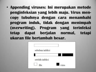 • Appending viruses: Ini merupakan metode
  penginfeksian yang lebih maju. Virus men-
  copy tubuhnya dengan cara menambahi
  program induk, tidak dengan menimpah
  (overwriting). Program yang terinfeksi
  tetap dapat berjalan normal, tetapi
  ukuran file bertambah besar.
 