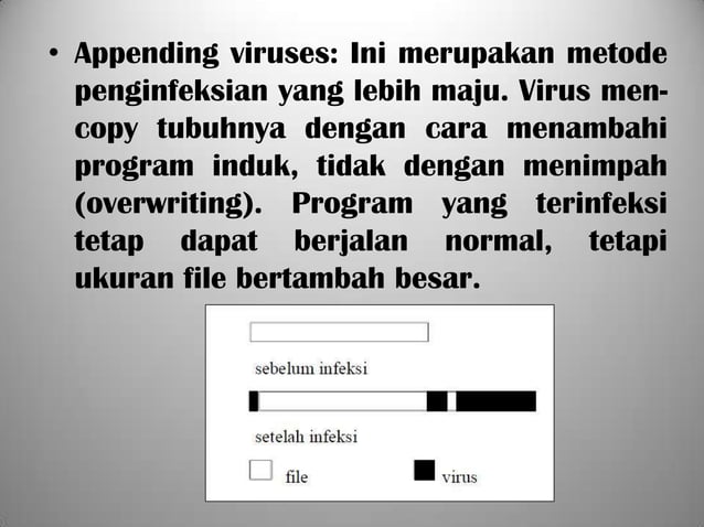 Dasar Dasar Virus Komputer Ppt
