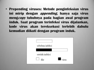 • Prepending viruses: Metode penginfeksian virus
  ini mirip dengan appending, hanya saja virus
  mengcopy tubuhnya pada bagian awal program
  induk. Saat program terinfeksi virus dijalankan,
  kode virus akan tereksekusi terlebih dahulu
  kemudian diikuti dengan program induk.
 