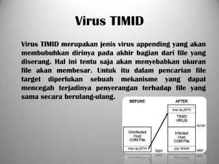 Virus TIMID
Virus TIMID merupakan jenis virus appending yang akan
membubuhkan dirinya pada akhir bagian dari file yang
diserang. Hal ini tentu saja akan menyebabkan ukuran
file akan membesar. Untuk itu dalam pencarian file
target diperlukan sebuah mekanisme yang dapat
mencegah terjadinya penyerangan terhadap file yang
sama secara berulang-ulang.
 