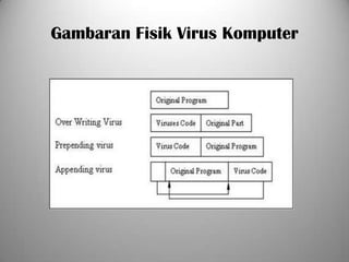 Gambaran Fisik Virus Komputer
 
