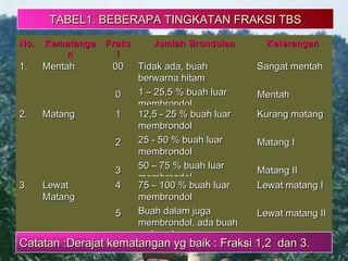 2424
TABEL1. BEBERAPA TINGKATAN FRAKSI TBSTABEL1. BEBERAPA TINGKATAN FRAKSI TBS
No.No. KematangaKematanga
nn
FraksFraks
ii
Jumlah BrondolanJumlah Brondolan KeteranganKeterangan
1.1. MentahMentah 0000
00
Tidak ada, buahTidak ada, buah
berwarna hitamberwarna hitam
1 – 25,5 % buah luar1 – 25,5 % buah luar
membrondolmembrondol
Sangat mentahSangat mentah
MentahMentah
2.2. MatangMatang 11
22
33
12,5 - 25 % buah luar12,5 - 25 % buah luar
membrondolmembrondol
25 - 50 % buah luar25 - 50 % buah luar
membrondolmembrondol
50 – 75 % buah luar50 – 75 % buah luar
membrondolmembrondol
Kurang matangKurang matang
Matang IMatang I
Matang IIMatang II
3.3. LewatLewat
MatangMatang
44
55
75 – 100 % buah luar75 – 100 % buah luar
membrondolmembrondol
Buah dalam jugaBuah dalam juga
membrondol, ada buahmembrondol, ada buah
yg busukyg busuk
Lewat matang ILewat matang I
Lewat matang IILewat matang II
Catatan :Derajat kematangan yg baik : Fraksi 1,2 dan 3.Catatan :Derajat kematangan yg baik : Fraksi 1,2 dan 3.
 