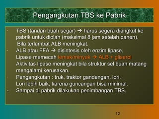 12
Pengangkutan TBS ke PabrikPengangkutan TBS ke Pabrik
- TBS (tandan buah segar)TBS (tandan buah segar)  harus segera diangkut keharus segera diangkut ke
pabrik untukpabrik untuk diolah (maksimal 8 jam setelah panen).diolah (maksimal 8 jam setelah panen).
Bila terlambat ALB meningkat.Bila terlambat ALB meningkat.
- ALB atau FFAALB atau FFA  disintesis oleh enzim lipase.disintesis oleh enzim lipase.
Lipase memecahLipase memecah lemak/minyaklemak/minyak  ALB + gliserolALB + gliserol
Aktivitas lipase meningkat bila struktur sel buah matangAktivitas lipase meningkat bila struktur sel buah matang
mengalami kerusakan.mengalami kerusakan.
- Pengangkutan : truk, traktor gandengan, lori.Pengangkutan : truk, traktor gandengan, lori.
Lori lebih baik, karena guncangan bisa minimal.Lori lebih baik, karena guncangan bisa minimal.
-- Sampai di pabrik dilakukan penimbangan TBS.Sampai di pabrik dilakukan penimbangan TBS.
 