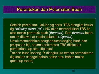 15
Perontokan dan Pelumatan BuahPerontokan dan Pelumatan Buah
- Setelah perebusan, lori-lori yg berisi TBS diangkat keluarSetelah perebusan, lori-lori yg berisi TBS diangkat keluar
dgdg Hoisting craneHoisting crane (HC).(HC). HC akan membalikkan TBS keHC akan membalikkan TBS ke
atas mesin perontok buahatas mesin perontok buah ((thresherthresher).). DariDari thresherthresher buahbuah
rontok dibawa ke mesin pelumatrontok dibawa ke mesin pelumat ((digesterdigester).).
- Untuk memudahkan penghancuran daging buah danUntuk memudahkan penghancuran daging buah dan
pelepasan biji, selama pelumatan TBS dilakukanpelepasan biji, selama pelumatan TBS dilakukan
pemberian uap atau dipanasi.pemberian uap atau dipanasi.
- Tandan buah kosongTandan buah kosong  diangkut ke tempat pembakarandiangkut ke tempat pembakaran
digunakan sebagai bahan bakar atau bahan mulsadigunakan sebagai bahan bakar atau bahan mulsa
(penutup tanah)(penutup tanah)
 
